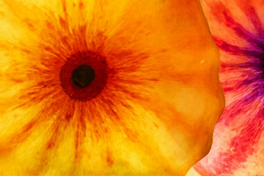 베타 지역 스테이지 도전